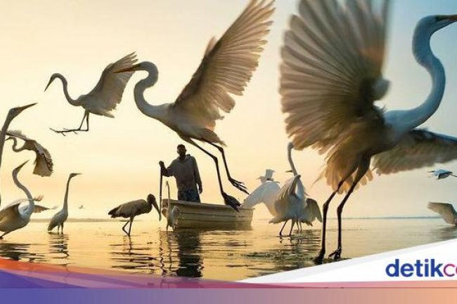 Foto Spektakuler Kontes Foto Internasional 2023 Bikin Terkesima