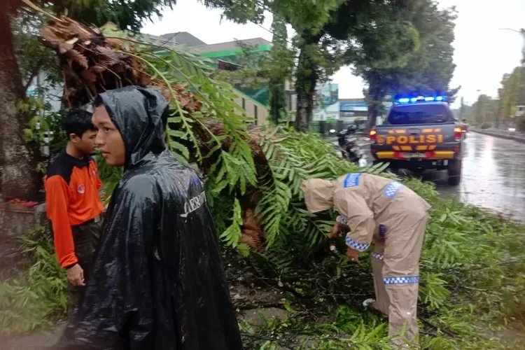 Hujan Plus Angin Kencang Melanda, Dua Peristiwa Terjadi di Purbalingga, Apa Saja?