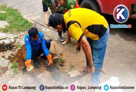 Dalam 8 Bulan, Damkarmat Kota Metro Tangani 52 Peristiwa Non Kebakaran