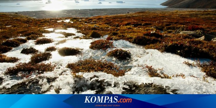 Virus Zombi Purba Ditemukan di Arktik, Peneliti: Bisa Picu Pandemi Baru