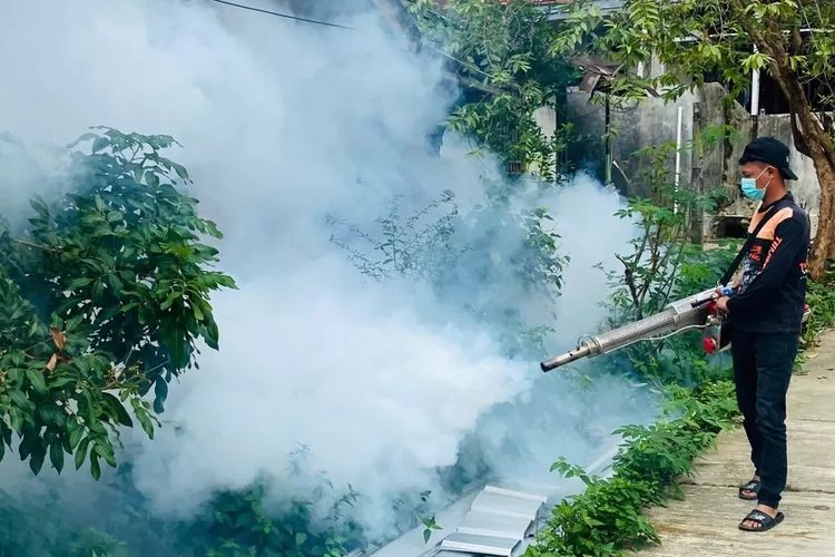 Ini Cara yang Tepat Atasi DBD, Lebih Efektif Daripada Fogging