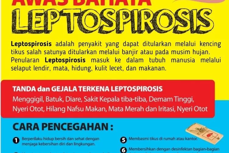 Pemkot Yogyakarta Waspadai Penyakit Leptospirosis di Musim Hujan. Ini Sebabnya