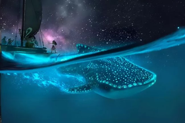 Moana Kembali Berlayar, Film Moana 2 Resmi Dirilis November 2024, Petualangan Lebih Menantang, Tak Kalah dengan Moana 1