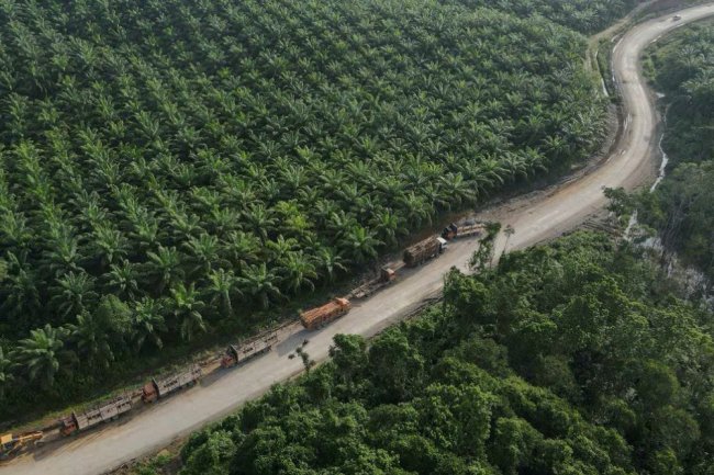 Standar Euro 4 Hambat Ekspor Truk dan Mobil Niaga