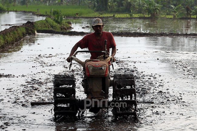 Jika BUMN Jadi Koperasi, KTNA: Sangat Merugikan Petani