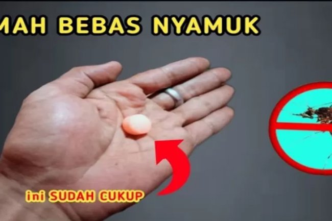 Selain Bisa Membasmi Tikus, Ternyata Ide Kreatif Dari  Bahan Pengharum Kamar Mandi Ini Bisa Buat Basmi Nyamuk Dengan Sempurna