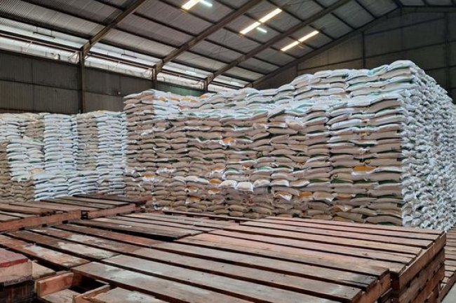 Harga Beras Terus Meroket Cetak Rekor, Apa Penyebabnya?