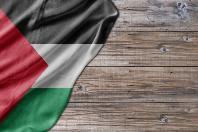 Mesir Sampaikan Argumen Terkait Palestina di Mahkamah Internasional, Ini Isinya
