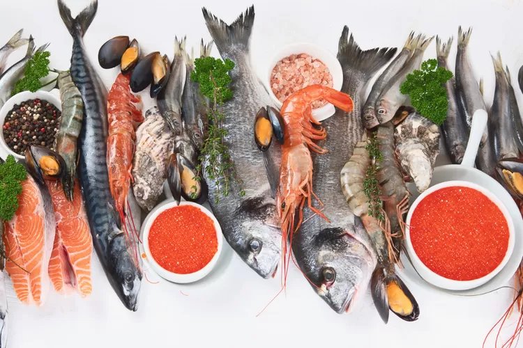 Jaga Imunitas dan Kesehatan Organ Pernapasanmu, Konsumsi 5 Jenis Ikan Paling Tinggi Kandungan Lemak dan  Vitamin D Ini