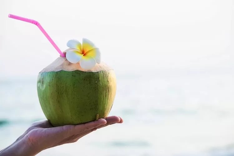 Air Kelapa Hijau, 8 Rahasia Kesehatan Alami untuk Meredakan Berbagai Gejala Sakit