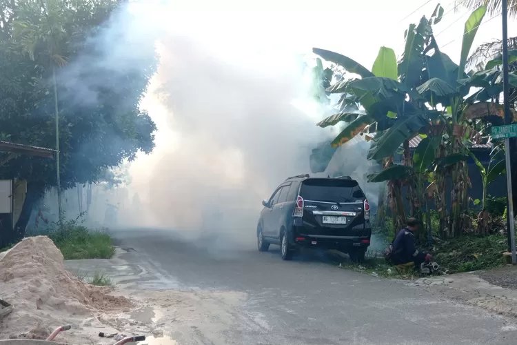 Pencegahan DBD Tetap Efektif Gunakan Pola 3M Plus, Fogging Tak Menganggu Skema Wolbachia