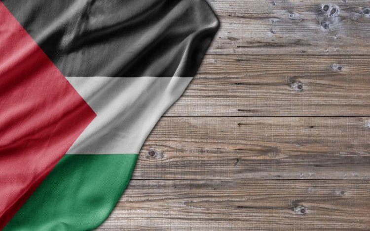 Mesir Sampaikan Argumen Terkait Palestina di Mahkamah Internasional, Ini Isinya