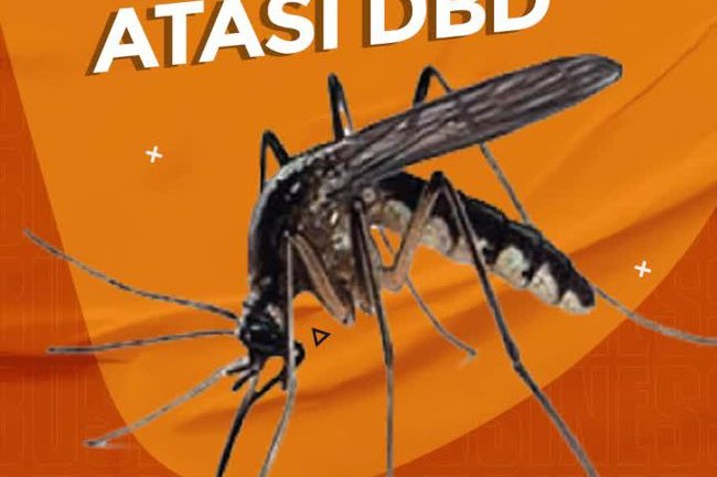 Kasus DBD Merebak Berkali Lipat