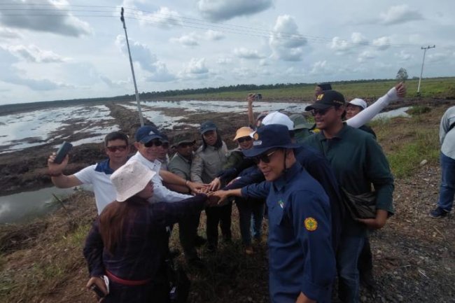 Penyuluh Pertanian Ditarik ke Pusat, Swasembada Pangan Diharap Tercapai dalam Waktu Cepat