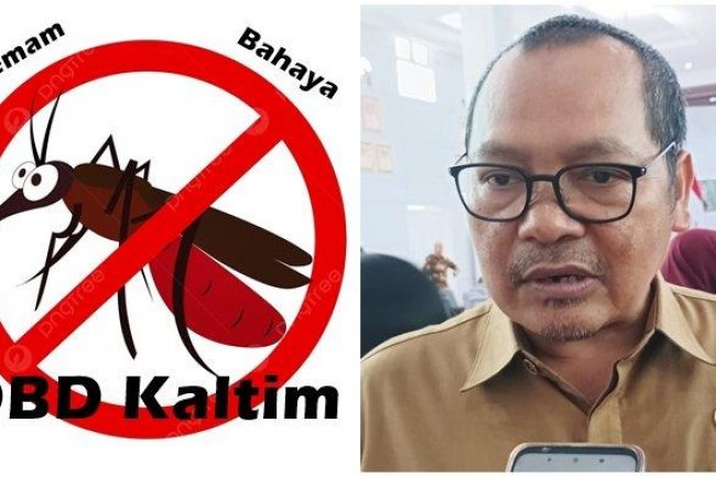 Kaltim Tembus 8.000 Kasus DBD per November 2024, Soroti PPU yang Sumbang Kasus Terbanyak