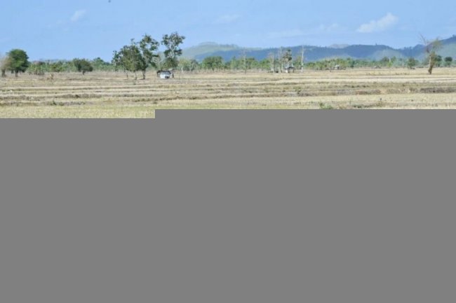 Kemarin, Diskes ingatkan warga DB, antisipasi kekeringan hingga tema debat Pilkada NTB