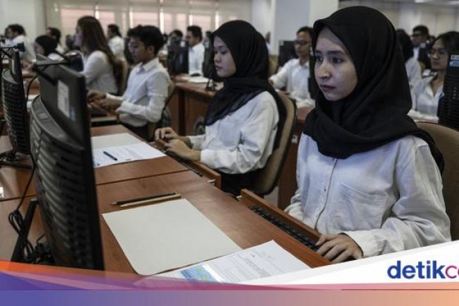 Kapan Pengumuman SKD CAT CPNS 2024? Ini Jadwal dan Cara Mengeceknya