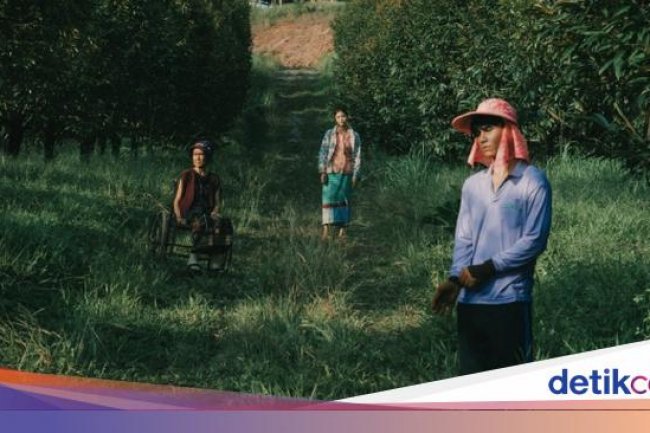 Sinopsis dan Review The Paradise of Thorns