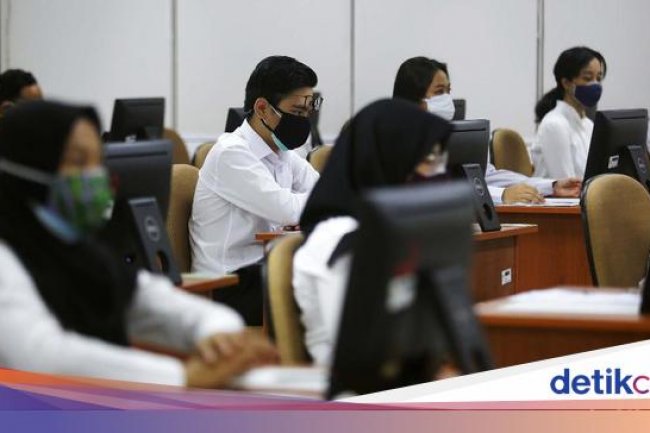 Materi Pokok SKB CPNS 2024 per Jabatan, Unduh di Sini & Segera Pelajari!