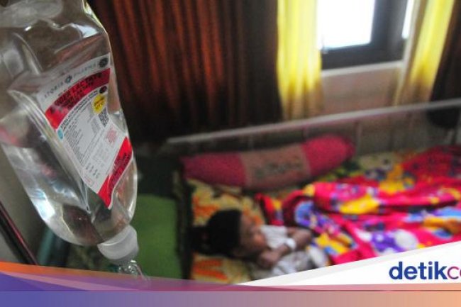 Alert! Kemenkes Keluarkan 2 SE Antisipasi DBD-Leptospirosis, Kasusnya Meningkat di RI