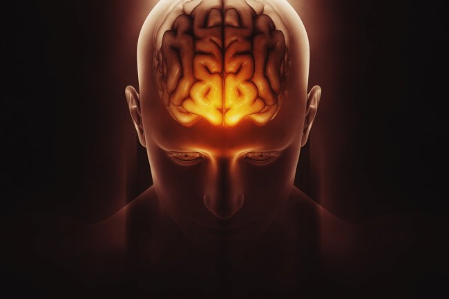 Fungsi Memori Ternyata Tidak Hanya pada Otak