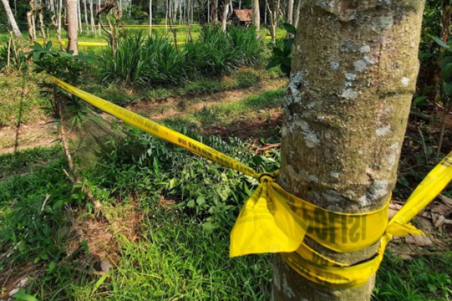 Tragis! Bocah 7 Tahun di Banyuwangi Tewas Mengenaskan, Diduga Jadi Korban Kekerasan