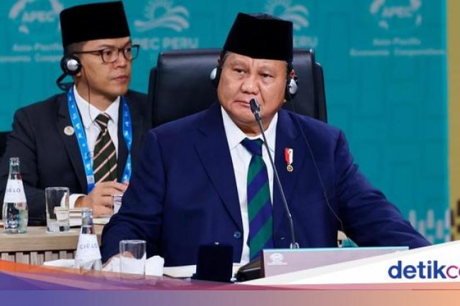 RI Mau Hilirisasi 26 Komoditas, Prabowo Sebut Butuh Investasi Rp 9.480 T