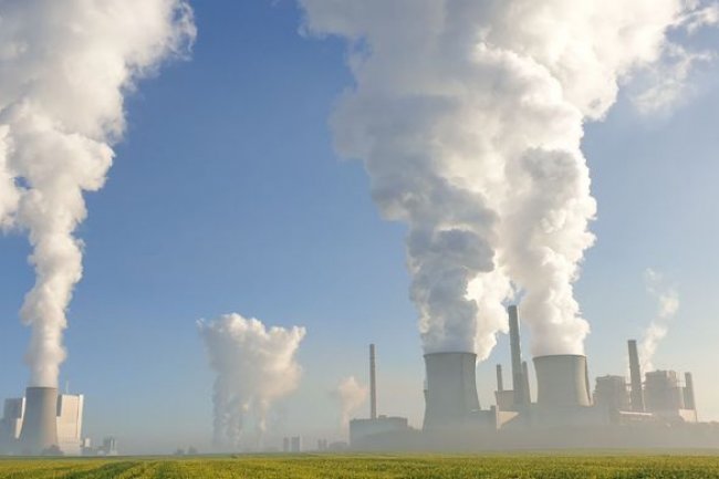 COP29: Organisasi Internasional Khawatirkan Skema Bursa Karbon Global