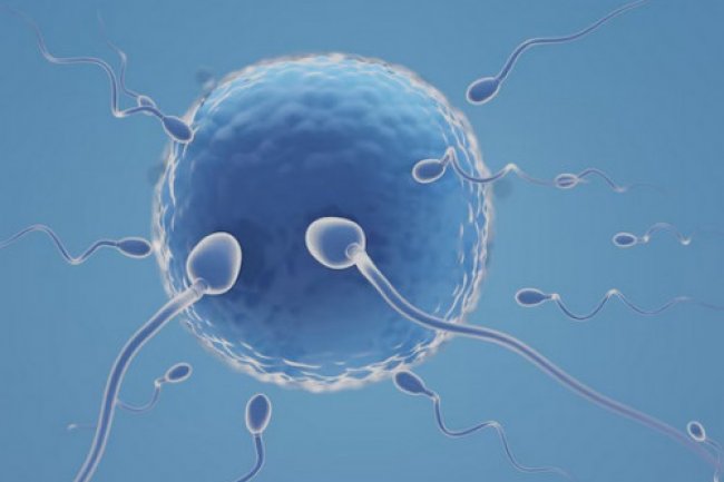 Apa Itu Proses Inseminasi Intrauterin dan Bedanya dengan Program Bayi Tabung?