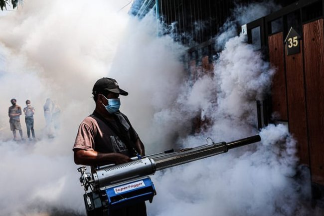 DBD Melonjak di Musim Hujan, Ini Strategi Kemenkes untuk Tekan Angka Kematian