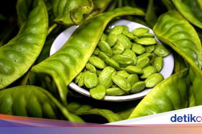 Benarkah Petai Bisa Bantu Turunkan Kadar Gula Darah? Dokter Herbal Bilang Gini