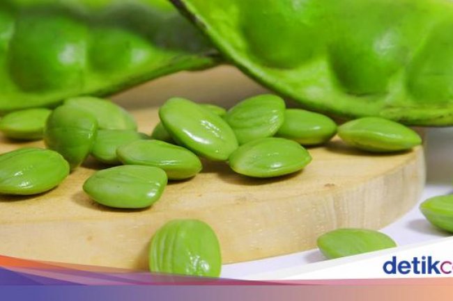 Doyan Makan Petai Bisa Bikin Ginjal Rusak? Ini Penjelasan Dokter Herbal