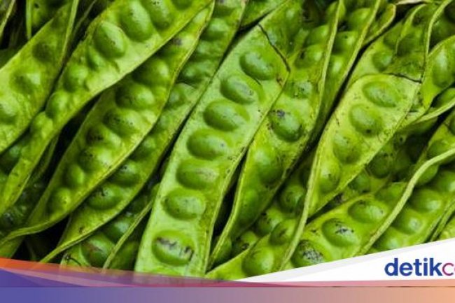Dokter Ungkap Batas Konsumsi Petai Biar Asam Urat Nggak Nanjak