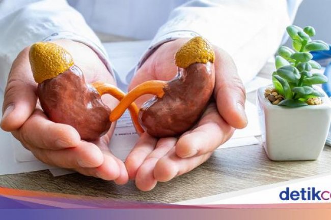 IDAI Sebut Anak dengan Diabetes Lebih Rentan Terkena Gagal Ginjal, Ini Alasannya