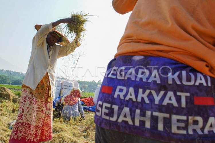 Penghapusan piutang macet petani