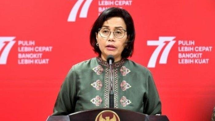 2 Ditjen dan 1 Badan Baru Dibentuk di Kemenkeu, Sri Mulyani Ungkap Alasannya