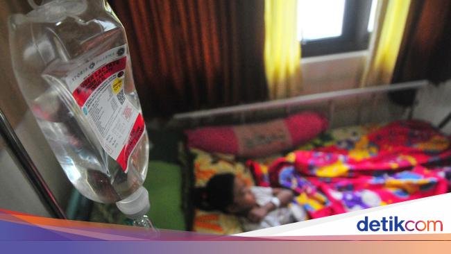 Alert! Kemenkes Keluarkan 2 SE Antisipasi DBD-Leptospirosis, Kasusnya Meningkat di RI