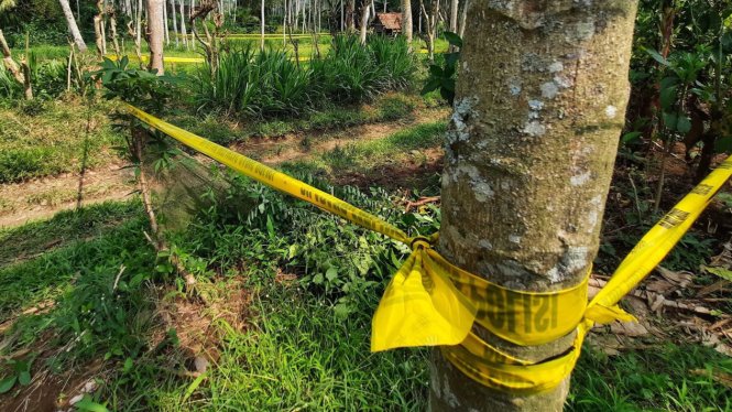 Tragis! Bocah 7 Tahun di Banyuwangi Tewas Mengenaskan, Diduga Jadi Korban Kekerasan