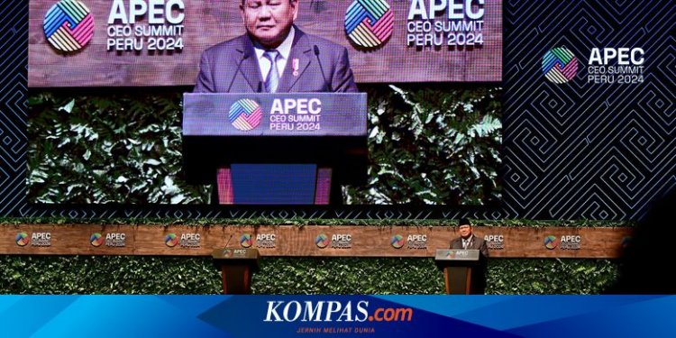 Bicara di KTT APEC, Prabowo Tekankan Perdamaian dan Ajak Investasi ke RI