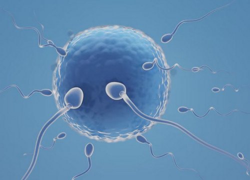 Apa Itu Proses Inseminasi Intrauterin dan Bedanya dengan Program Bayi Tabung?