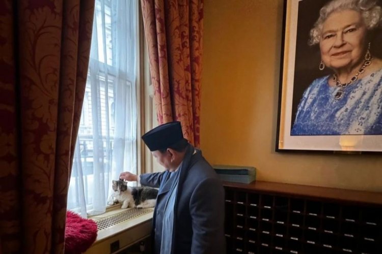 Presiden Prabowo sempat bertemu Larry the Cat saat kunjungi Inggris