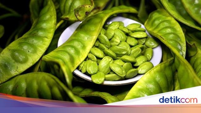 Benarkah Petai Bisa Bantu Turunkan Kadar Gula Darah? Dokter Herbal Bilang Gini