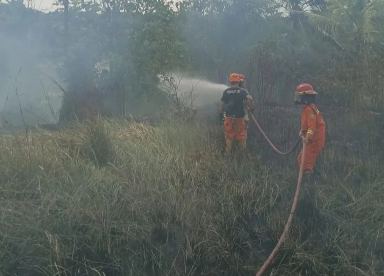 Diduga Akibat Pembakaran Sampah, Karhutla di Kalitimbang Kebakaran