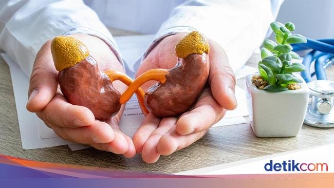 IDAI Sebut Anak dengan Diabetes Lebih Rentan Terkena Gagal Ginjal, Ini Alasannya