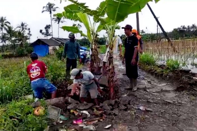 Ditengarai Sengaja Rusak Jalan Desa, Sejumlah Warga Sidomulyo Jember Dilaporkan Polisi