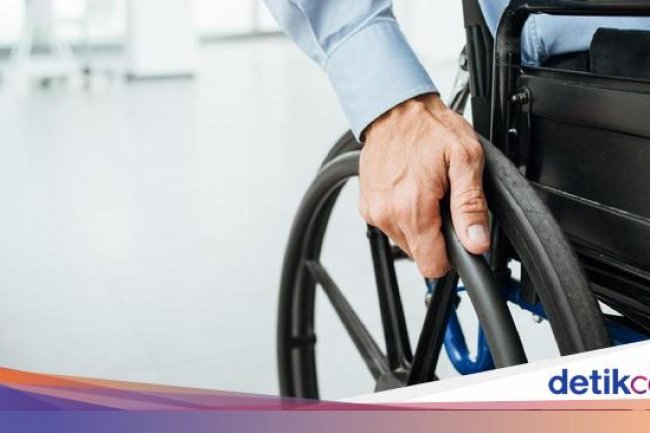 Hari Disabilitas Internasional 3 Desember 2024: Sejarah, Tema, dan Ucapan