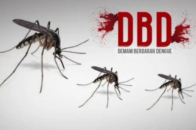 Musim Hujan Tiba Waspada DBD! Ini Usia yang Paling Rentan Terhadap Kematian Akibat Dengue