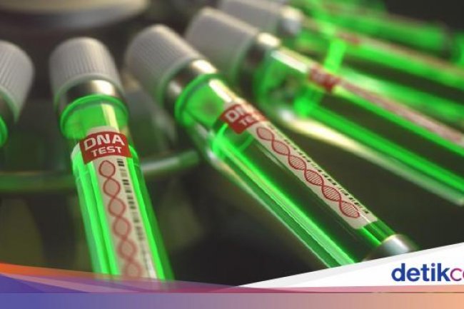 WHO Investigasi soal Penyakit Misterius yang Tewaskan 143 Warga DR Kongo
