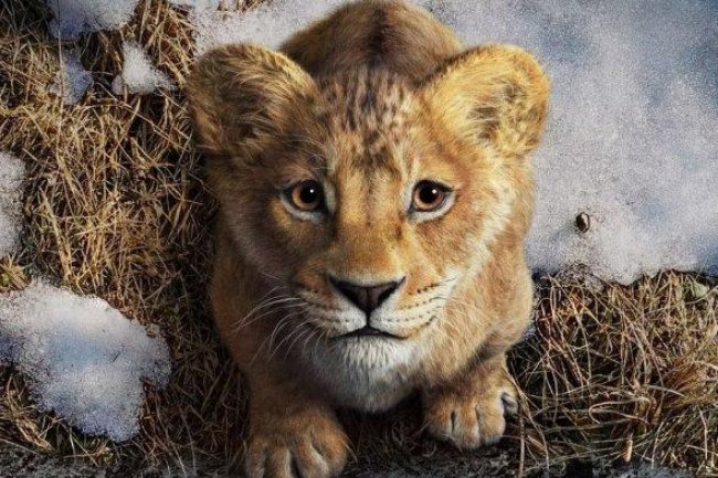 Film Mufasa The Lion King Sudah Tayang di Bioskop, Ini Sinopsis Filmnya: Kisah Ayah Simba