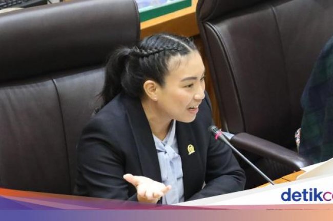 Sara Gerindra Heran PDIP Kini Tolak PPN 12% Padahal Ketua Panja